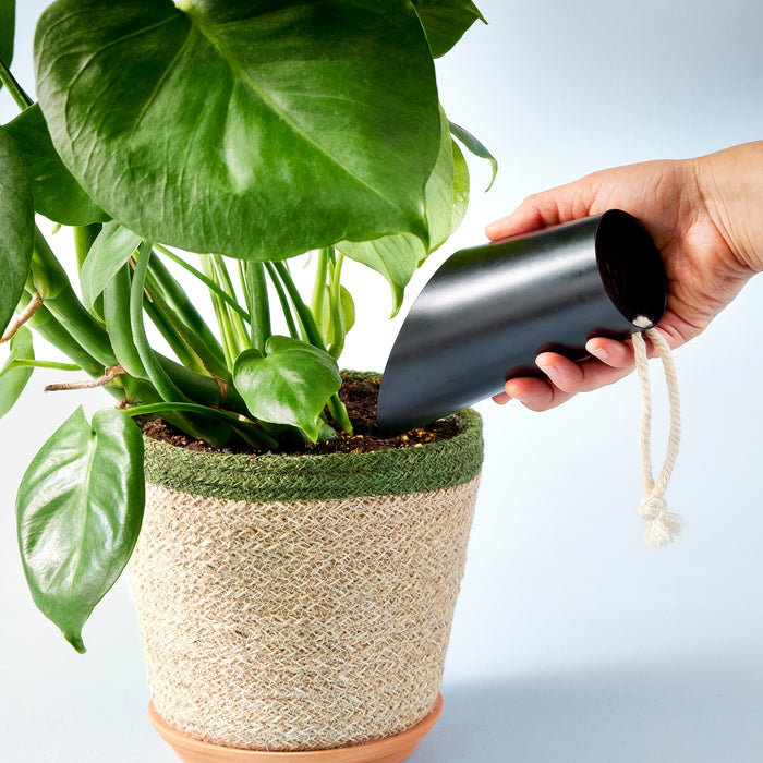 Someone uses an ergonomic, matte black watering can to water a large-leaved potted plant in a woven basket with a green rim against a soft light blue background. The rope handle adds charm to the functional design of this Modern Sprout Soil Scoop.