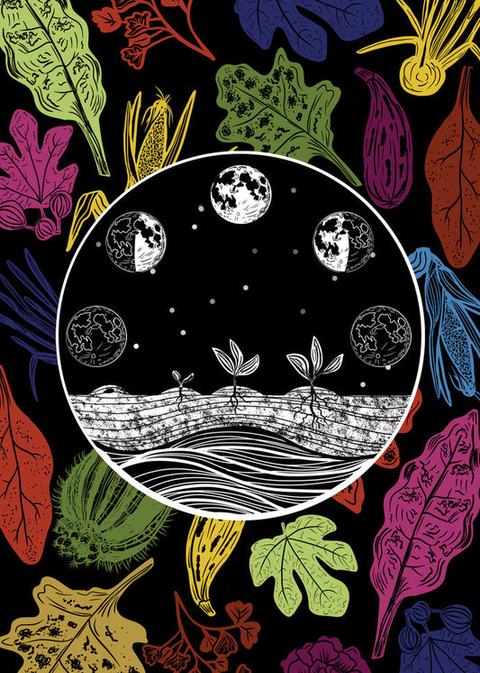 Sonoran Seasons Card Set