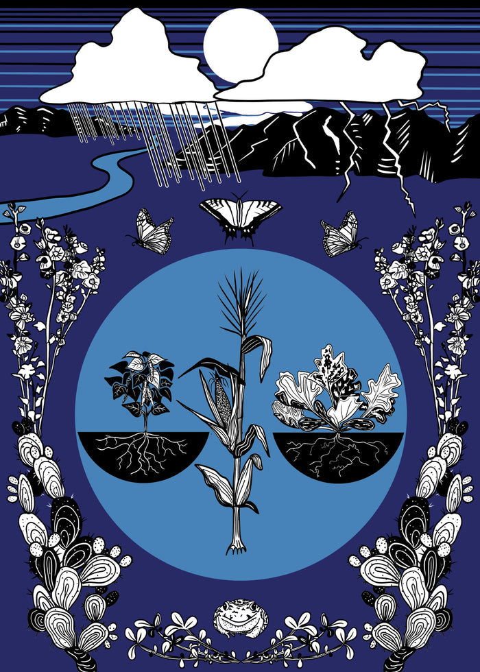 Sonoran Seasons Card Set