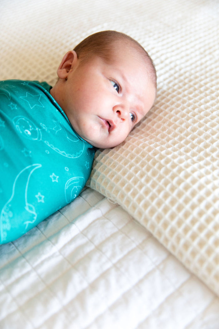 SPACE DINOS | SWADDLE