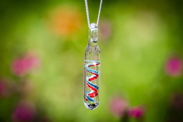 Clear glass spiral cylinder pendant containing a red and blue spiral inside, hanging from a silver chain with a soft green backdrop