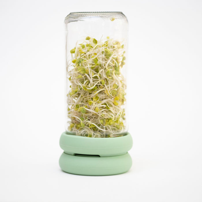 The Sprout Huggers kit by Food Huggers features a glass jar full of green and white sprouts, beautifully inverted on a mint green base against a clean white background.