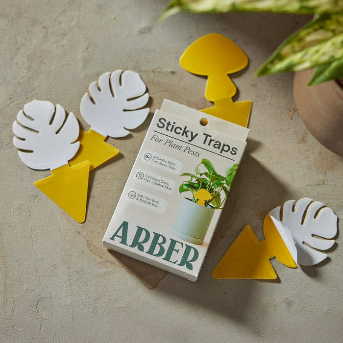 Arbers Sticky Traps to Trap Indoor and Greenhouse Pests are shown on a surface, featuring leaf- and arrow-shaped yellow traps. A potted plant is partially visible in the top right corner.