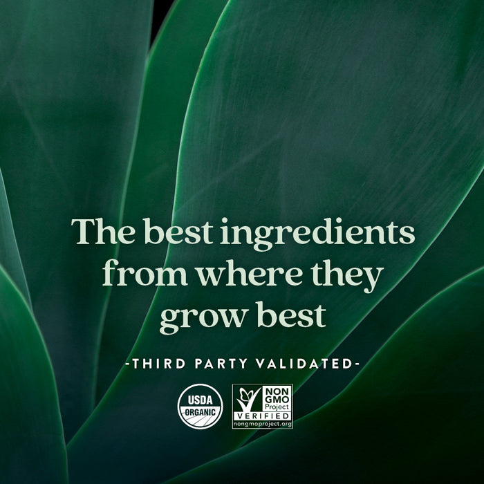 Large green leaves in the background with white text: The best ingredients from where they grow best – Third Party Validated. USDA Organic and Non-GMO Project Verified logos highlight New Chapter Strength Support Vitamin D3+ Gummies, Mixed Berry Flavored.