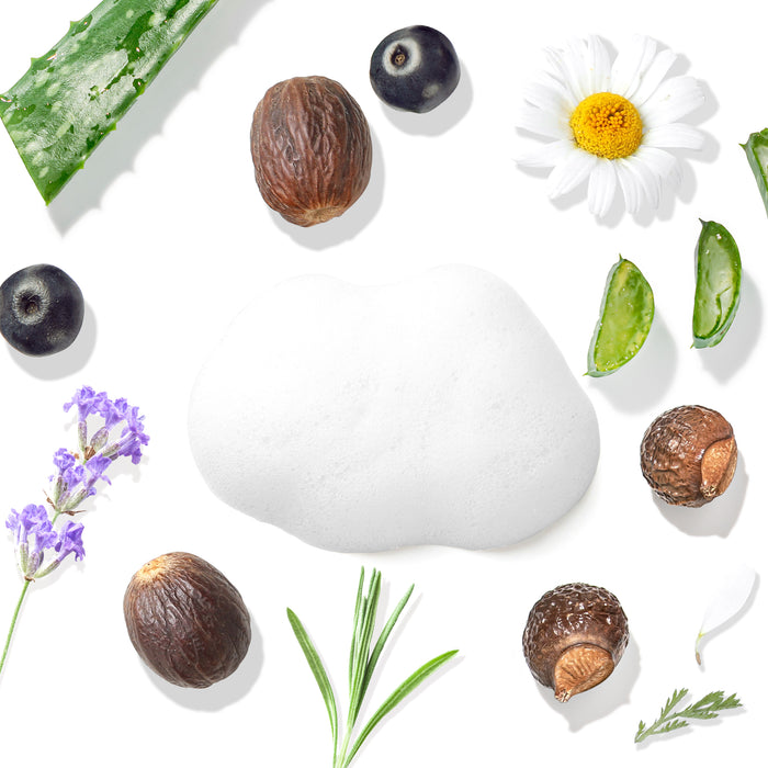 The Tree To Tub Sulfate Free Hydrating Face Wash for Dry Skin is surrounded by aloe vera, shea nuts, lavender, rosemary, blueberries, chamomile flowers, and acorns on a pristine white background.