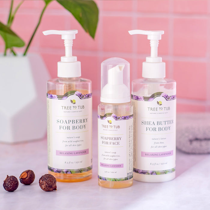 A set of three Tree to Tub skincare products—Soapberry for Body, Sulfate Free Hydrating Face Wash for Dry Skin, and Shea Butter for Body in lavender scent—are showcased against a pink tiled backdrop with a plant and towel.