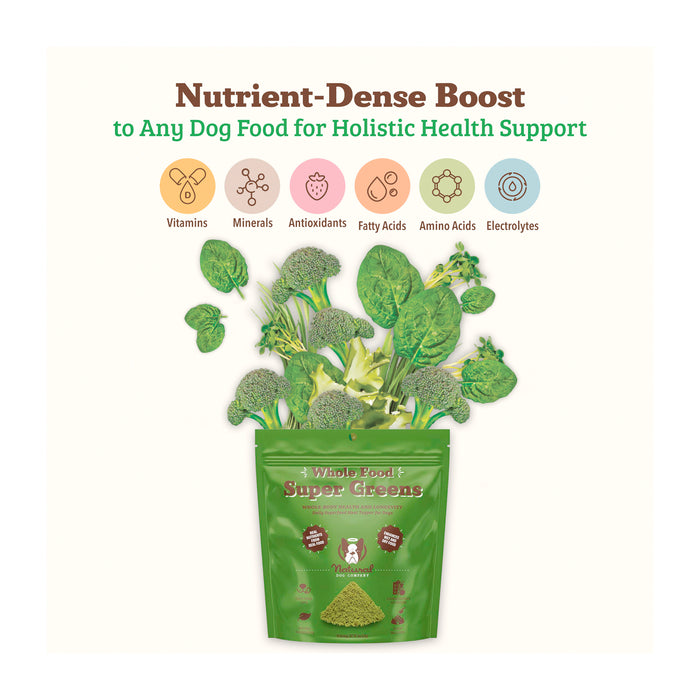 A bag labeled "Whole Food Super Greens" for dogs, with floating green vegetables above it. Icons represent vitamins, minerals, antioxidants, fatty acids, amino acids, and electrolytes for holistic health support.