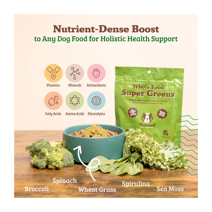 A bag of "Whole Food Super Greens" dog supplements is next to a bowl of dog food topped with broccoli, wheat grass, spirulina, and sea moss. Icons highlight benefits: vitamins, minerals, antioxidants, fatty acids, amino acids, and electrolytes.
