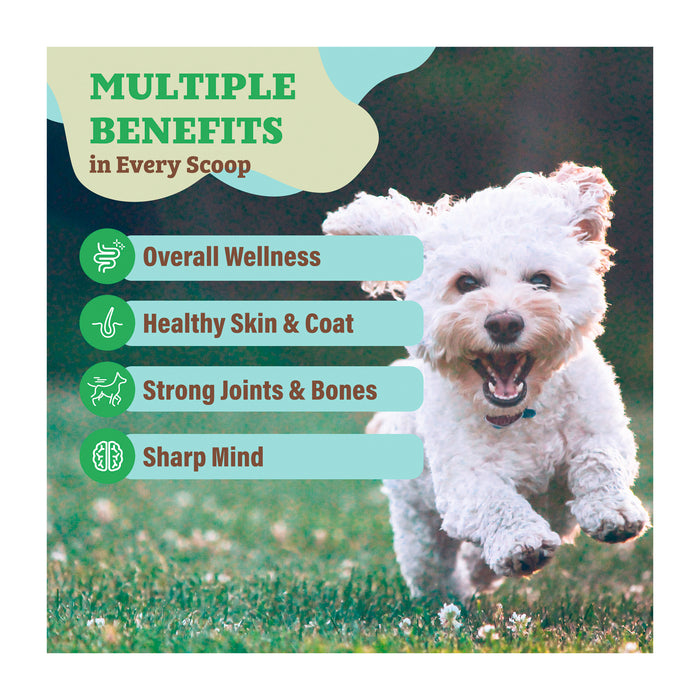 A fluffy white dog joyfully runs on grass. Text overlay reads "Multiple Benefits in Every Scoop" with icons and benefits listed: overall wellness, healthy skin &amp; coat, strong joints &amp; bones, sharp mind.