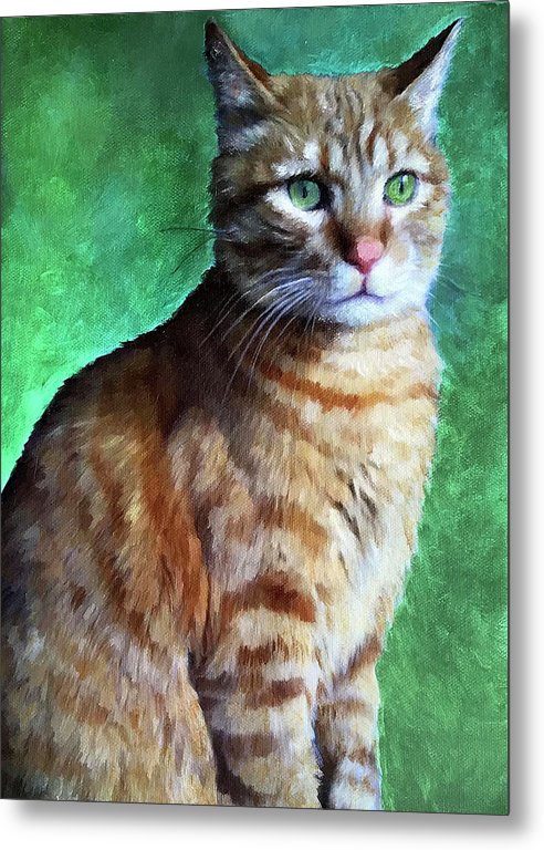 Tabby Cat - Metal Print - Portraits by NC