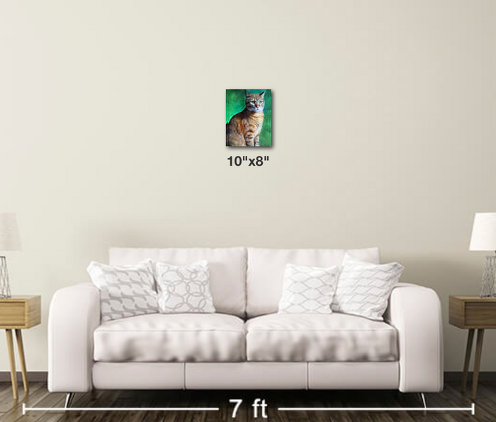 Tabby Cat - Metal Print