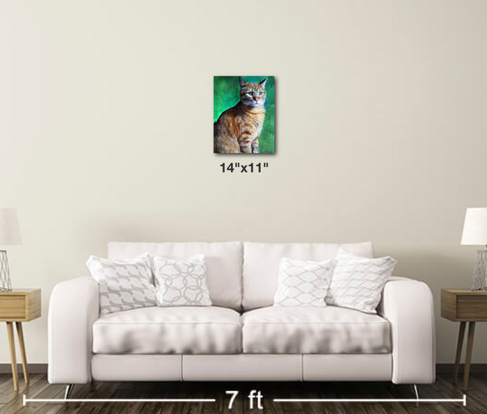 Tabby Cat - Metal Print