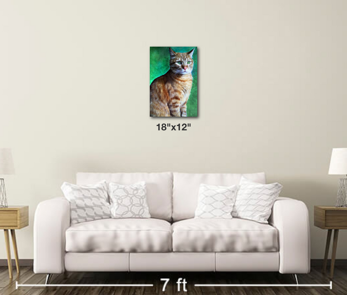 Tabby Cat - Metal Print