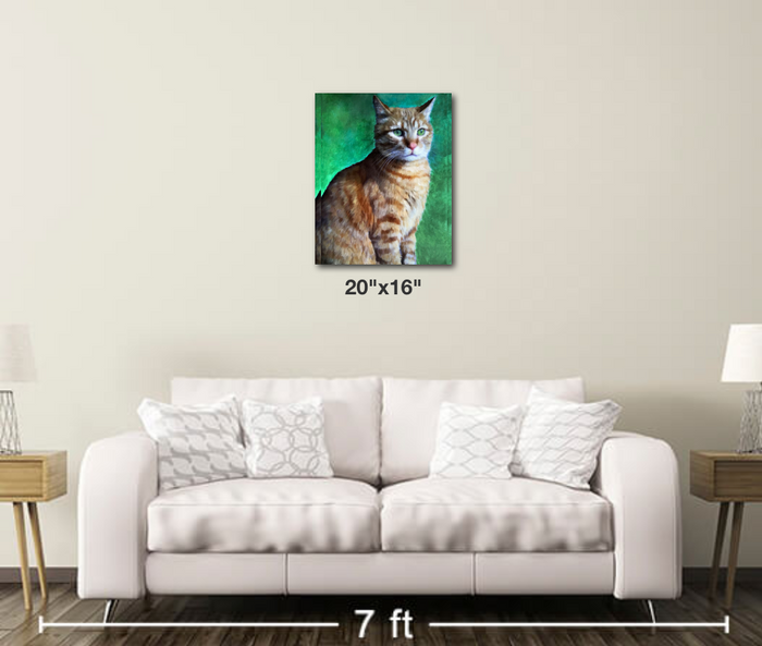 Tabby Cat - Metal Print