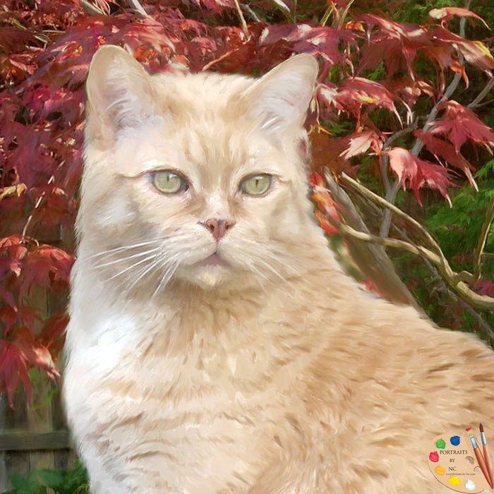 Seated Tabby Cat 285