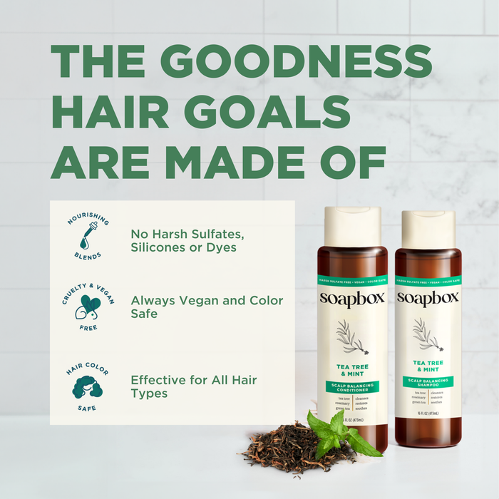 On a counter, two bottles of Soapbox Tea Tree & Mint Scalp Balancing Shampoo and Conditioner are displayed with loose tea leaves and mint. Benefits include: rich in tea tree oil for scalp and hair balance, vegan, color-safe, free of harsh chemicals, effective for all hair types.