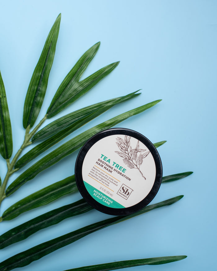 A round black container of Tea Tree Soothing Hydration Hair Mask by Soapbox is set against a light blue background with a leafy green branch. The label showcases botanical illustrations and detail about the products soothing benefits.