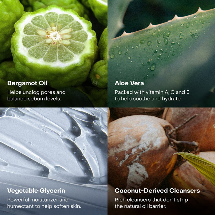 Everist’s The Body Wash Concentrate highlights bergamot oil with green fruit, aloe vera on a dewy leaf, creamy vegetable glycerin, and coconut-derived cleansers shown in eco-friendly packaging beside a cracked coconut.