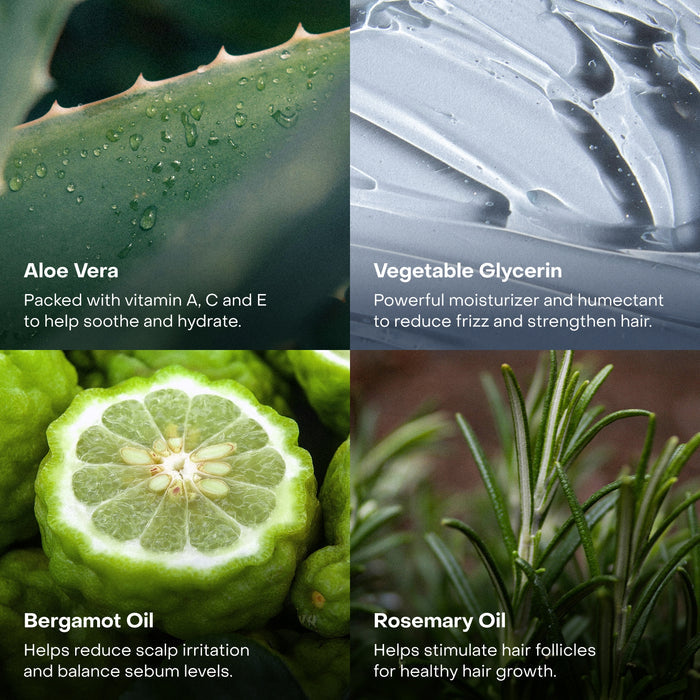 A four-part collage features aloe vera, gray cream, bergamot, and rosemary—each labeled with hair care benefits—perfect for Everist’s The Shower Essentials Travel Kit.