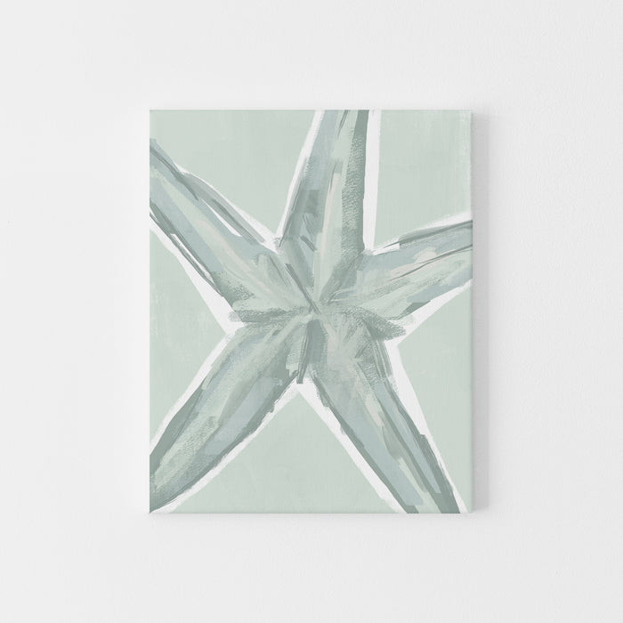 The Summer Starfish
