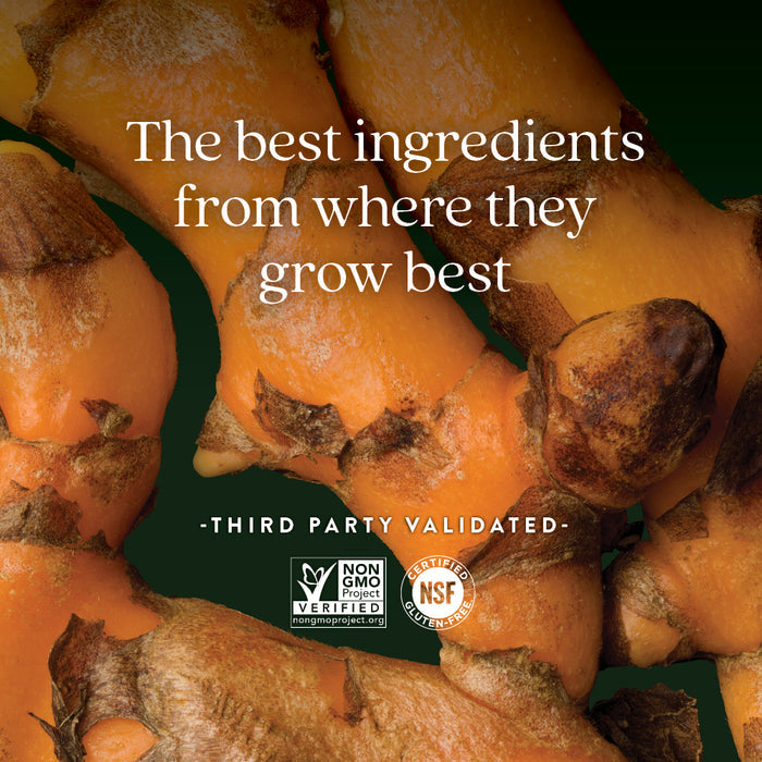 Close-up of fresh turmeric roots with text: “The best ingredients from where they grow best.” Highlights Turmeric Force™ by New Chapter for a healthy inflammation response and Curcumin. Non-GMO Project Verified & NSF Certified Gluten-Free logos below.