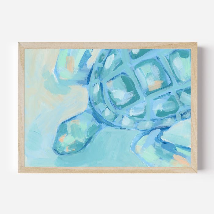 Turtle Drift - Jetty Home