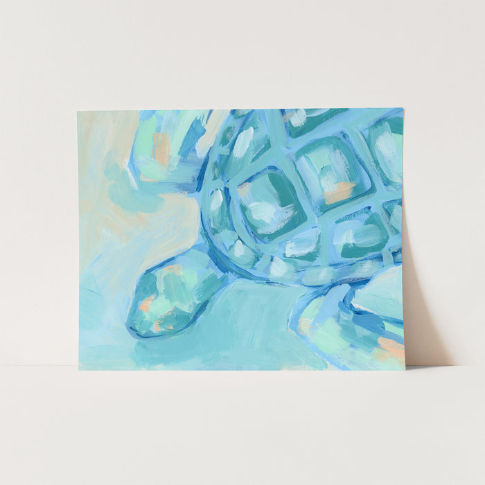 Turtle Drift - Jetty Home
