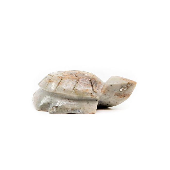 Turtle with Carved Shell by Kenny Chavez