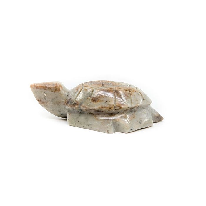Turtle with Carved Shell by Kenny Chavez