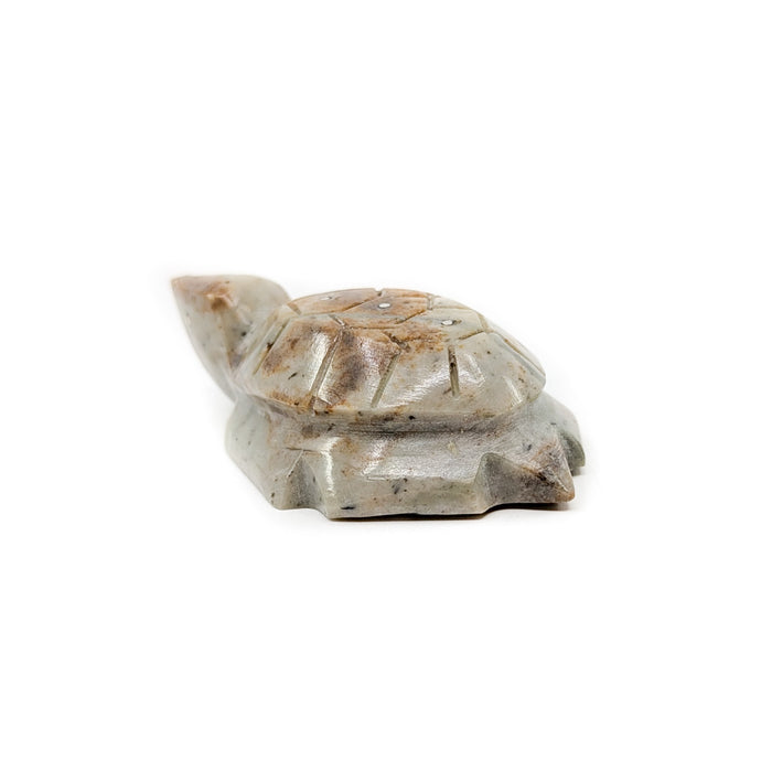 Turtle with Carved Shell by Kenny Chavez