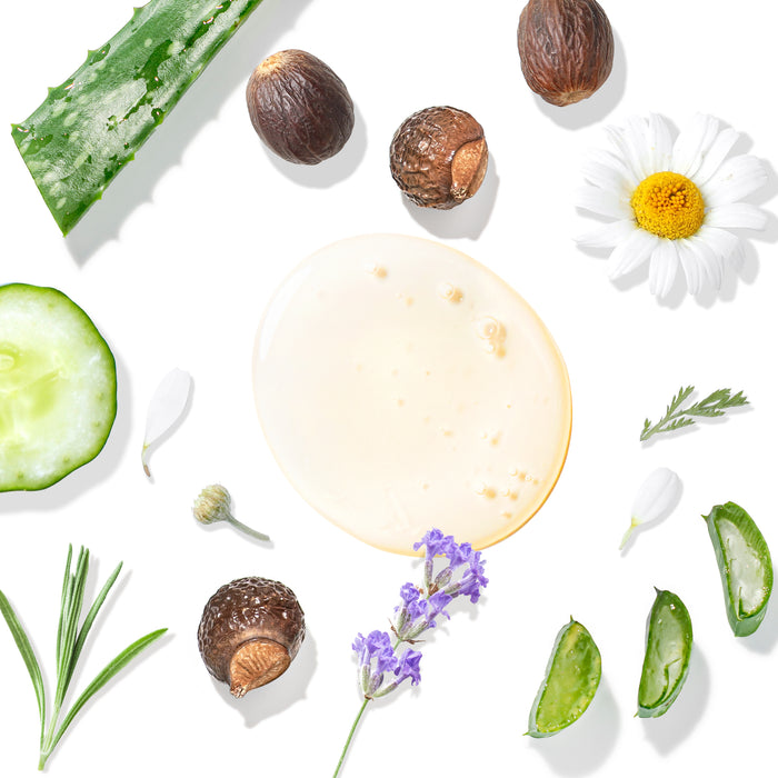 A flat lay photo features aloe vera slices, shea nuts, a chamomile flower, cucumber slice, rosemary sprig, and lavender alongside Tree To Tubs Ultra Hydrating Body Wash—perfect for dry skin. The gel-like substance on a white background enhances these natural ingredients.