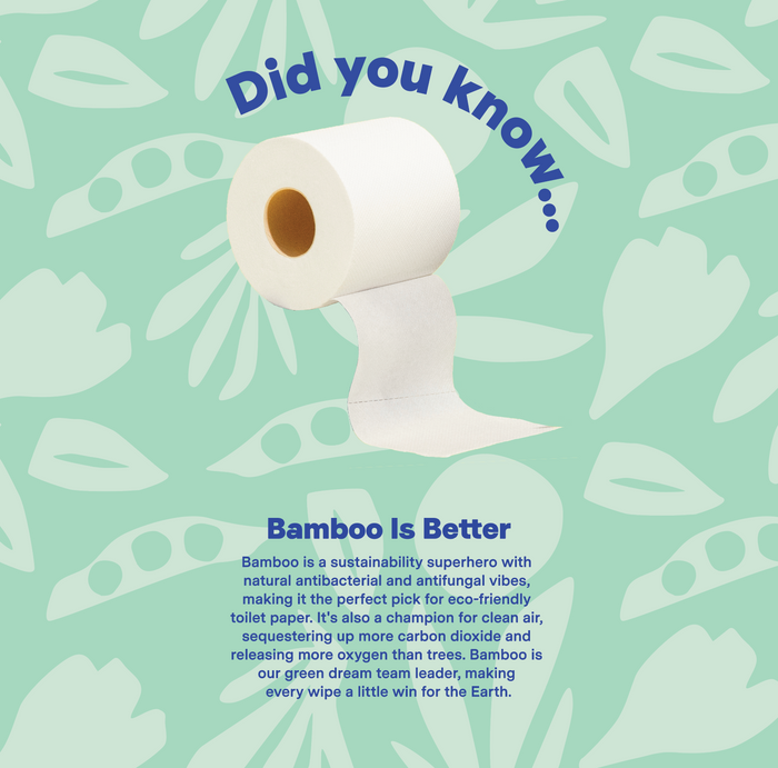 A roll of Repurpose Ultra Soft 3-ply Bamboo Toilet Paper (300 sheets per roll) unrolls on a green patterned background, with the text “Did you know... Bamboo Is Better” and an explanation about bamboo’s sustainability benefits.