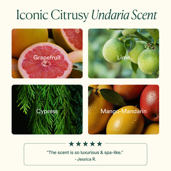Four images—grapefruit, lime, cypress, and mango-mandarin—capture the citrus scent of OSEA’s Undaria Algae™ Body Butter. A testimonial reads, “The scent is so luxurious & spa-like.” – Jessica R.