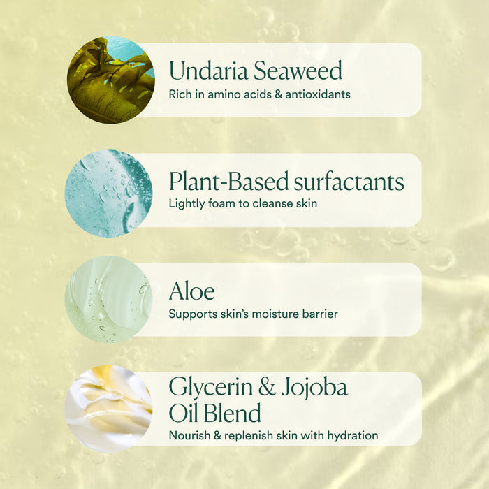 Four sections list skincare ingredients: Undaria Seaweed (in OSEA Undaria Algae™ Body Wash, rich in amino acids & antioxidants), plant-based surfactants (gentle cleanser), aloe (moisture barrier support), and glycerin & jojoba oil blend (hydration).