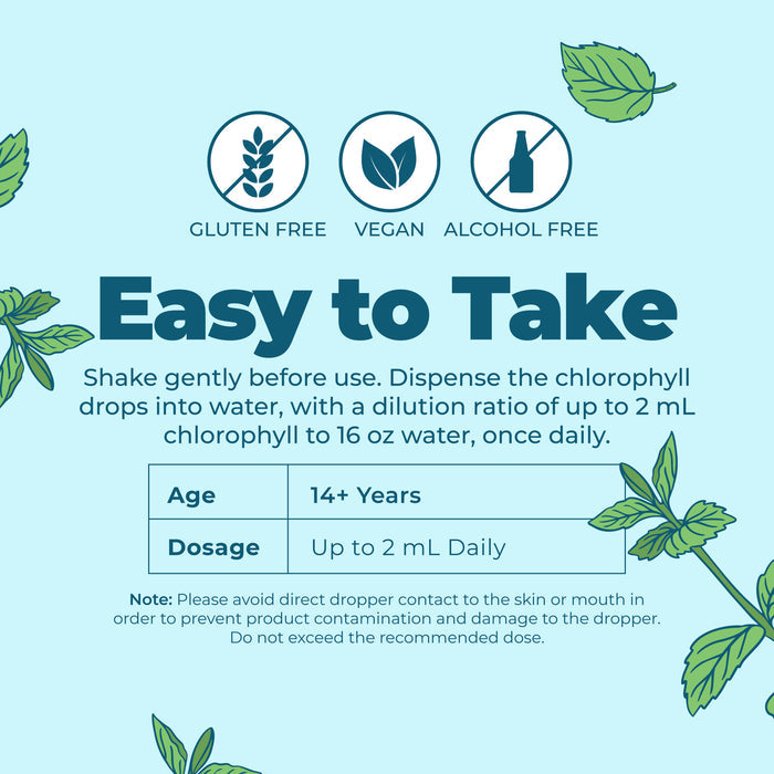 MaryRuth’s Vegan Liquid Chlorophyll Drops instructional graphic highlights their mulberry source, gluten-free and alcohol-free formula. Dosage for ages 14+ is shown, with leaf illustrations in the corners.