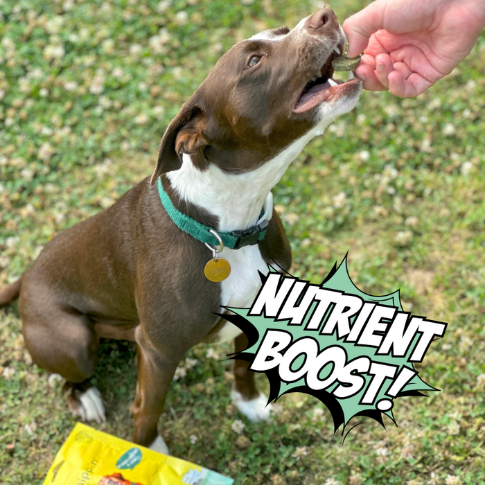 A brown and white dog with a green collar eagerly accepts a treat from a hand. The package of dog treats lies on the grass nearby. A comic-style text bubble says "Nutrient Boost!.
