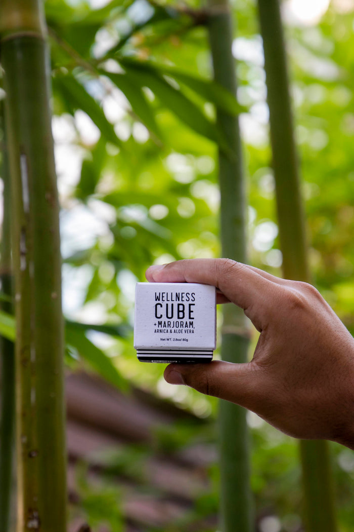 In a serene garden with lush bamboo, a hand gently cradles a small, white Wellness Cube box from KOA + ROY, capturing the essence of all-natural skincare and aromatherapy.