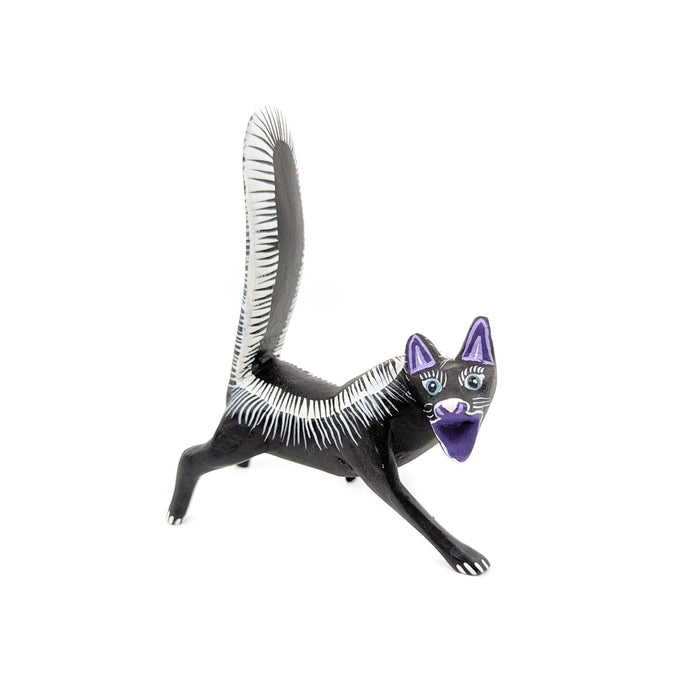 Whimsical Black and White Skunk