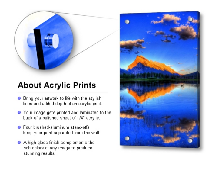 Acrylic Print Template - Portraits by NC