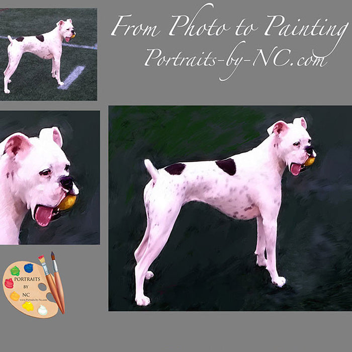 White Boxer Dog Portrait from Photo 394