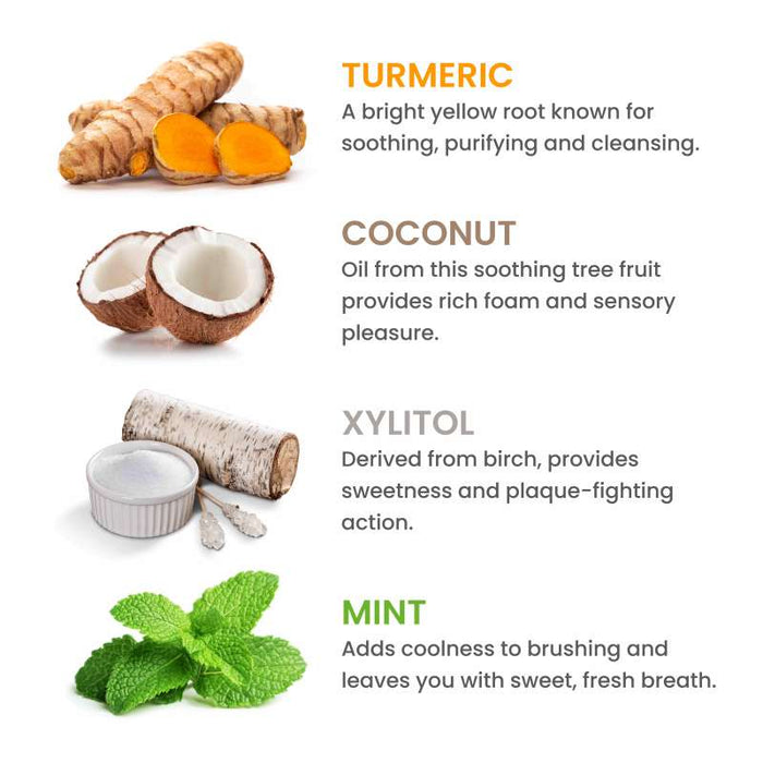 An infographic featuring turmeric, coconut, xylitol, and mint. Each ingredient is described with benefits: turmeric for cleansing, coconut for rich foam, xylitol for sweetness and plaque-fighting, and mint for coolness and fresh breath.