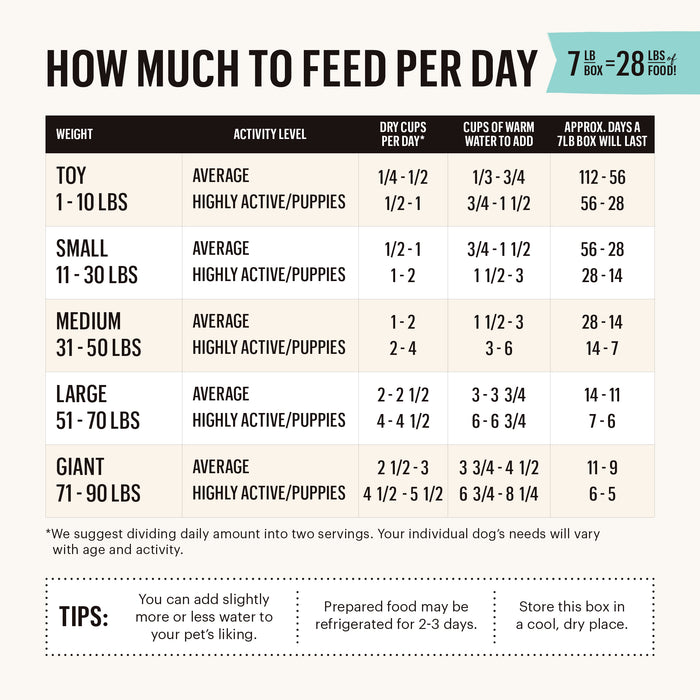 The Honest Kitchens Dehydrated Grain Free Turkey Dog Food chart, titled How Much to Feed Per Day, provides daily feeding guidelines for dogs weighing 0-90 lbs, considering their weight and activity level. The chart includes dry cups, warm water, prepared days, whole food options, and portion adjustment tips.