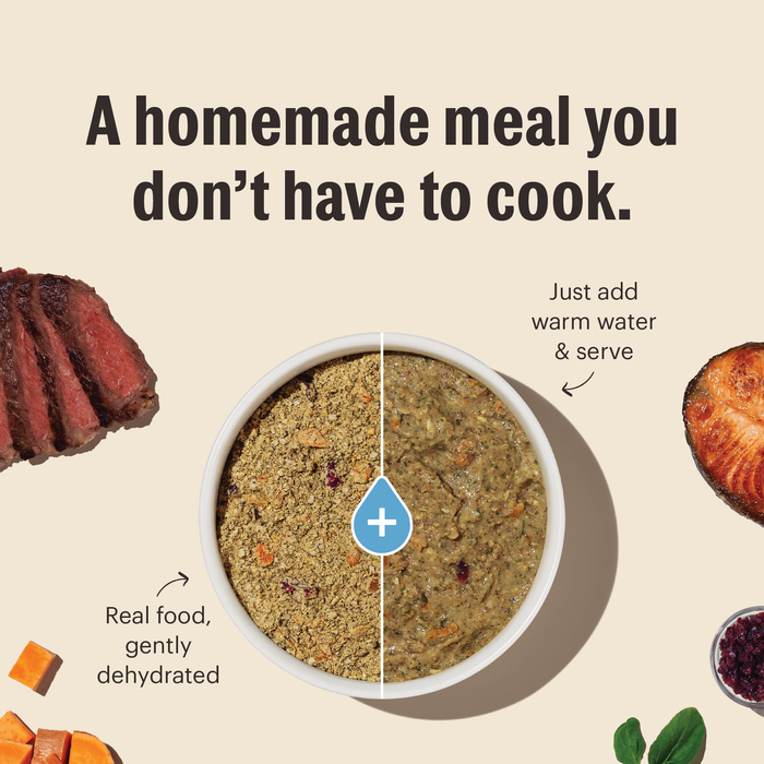 A bowl of The Honest Kitchen Dehydrated Whole Grain Turkey Dog Food is shown with a plus sign for adding water. Slices of turkey and grains are nearby—just add warm water and serve human grade goodness.