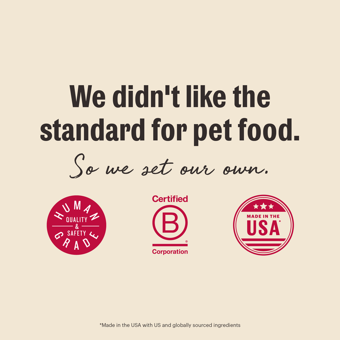 Text reads: “We didn’t settle for ordinary pet food. That’s why The Honest Kitchen made Dehydrated Whole Grain Turkey Dog Food with human grade standards.” Icons: Human Grade, B Corp Certified, Made in USA (with US & global ingredients).