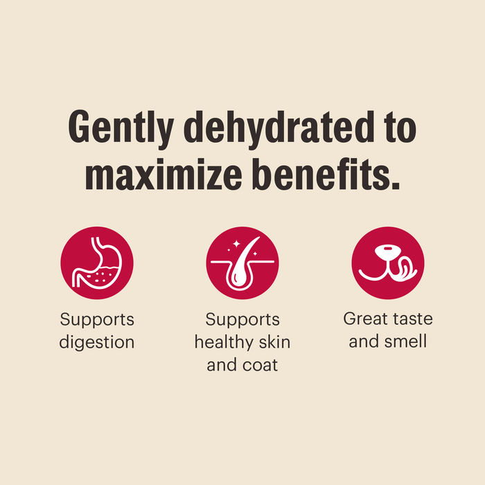 Infographic with the text Gently dehydrated to maximize benefits above three icons: supports digestion, healthy skin & coat, and great taste & smell. Features The Honest Kitchen Dehydrated Whole Grain Turkey Dog Food made with wholesome ingredients.
