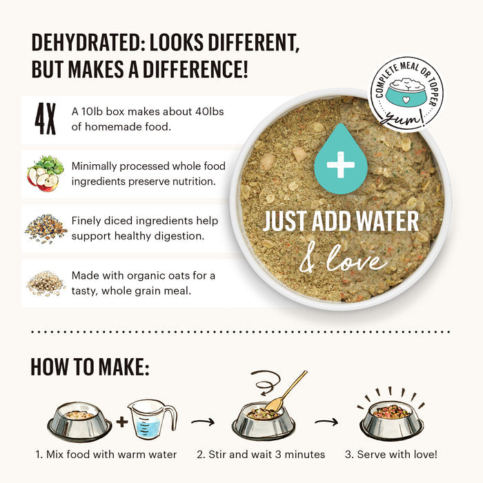 A bowl of The Honest Kitchen Dehydrated Whole Grain Turkey Dog Food, labeled human grade, makes 40 lbs when rehydrated. Prep is easy: mix with warm water, wait 3 minutes, then serve. Features key ingredients and step-by-step illustrated instructions.