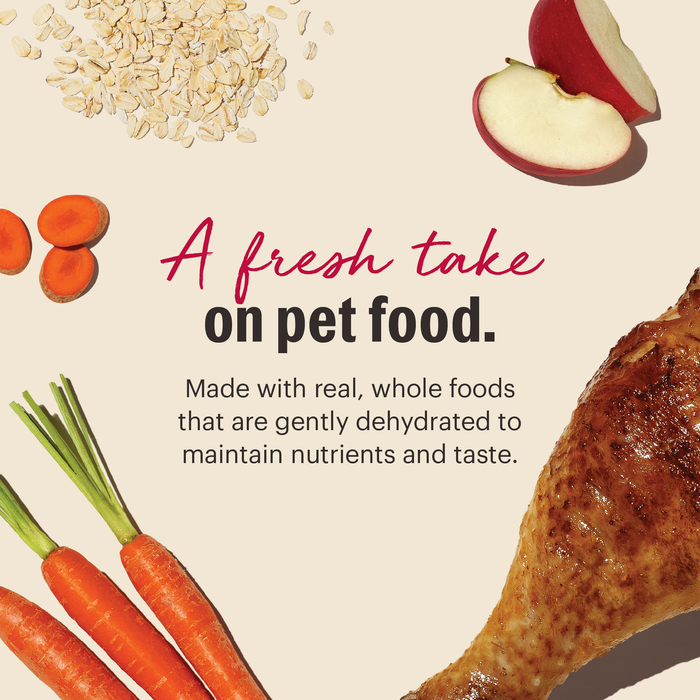 A turkey leg, carrots, oats, and apple slices surround text: The Honest Kitchen Dehydrated Whole Grain Turkey Dog Food—made with real, whole foods and gently dehydrated to preserve nutrients and flavor.