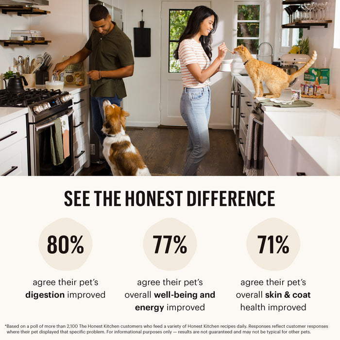 In their kitchen, a man and woman feed two dogs and a cat The Honest Kitchen Dehydrated Whole Grain Turkey Dog Food; 80% saw better digestion, 77% noticed improved well-being and energy, and 71% reported healthier skin and coats.