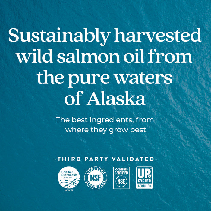 Text over an ocean background reads: New Chapter Wholemega™ Fish Oil—sustainably caught Wild Alaskan Salmon Oil, rich in Omega-3 from Alaska’s pure waters. The best ingredients from where they thrive. Certification logos appear at the bottom.