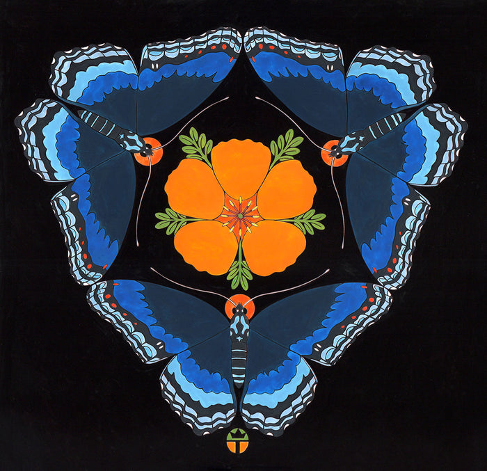 Full color print of brushfoot butterflies and arizona summer poppy measures 7.5" x 7.5" plus a 2.25" white border. Black frame with glass, measures 12" x 12".